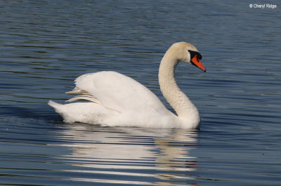 2988-attenborough.jpg