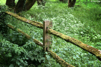 2314-bibury.jpg
