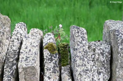 2327-bibury.jpg
