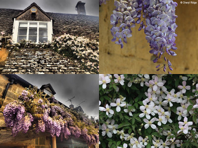 broadway-flowers.jpg