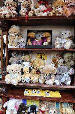 2283-teddy-bears-of-witney.jpg