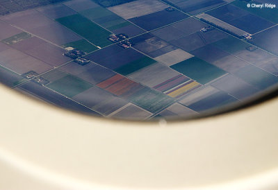 6832-melb-to-ams.jpg