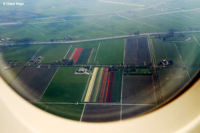6838-melb-to-ams.jpg