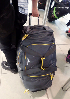 P4210191-melb-to-ams.jpg