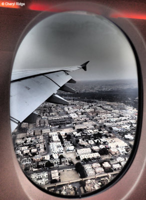 P4220225-melb-to-ams.jpg