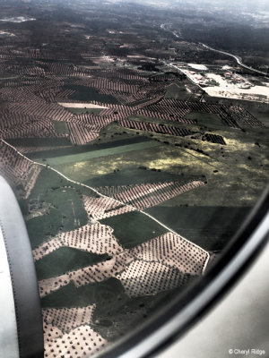 P5090407-jerez-to-madrid.jpg