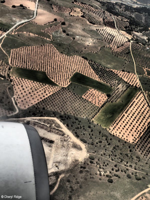 P5090409-jerez-to-madrid.jpg