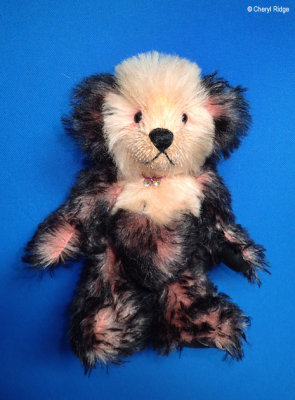 Maray Bears Australia