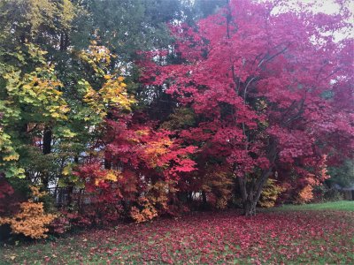 Autumn in Poughkeepsie, NY