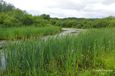 Petit lac Flemming road m17 1