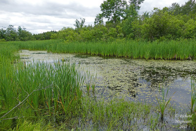 Petit lac Flemming road m17 2