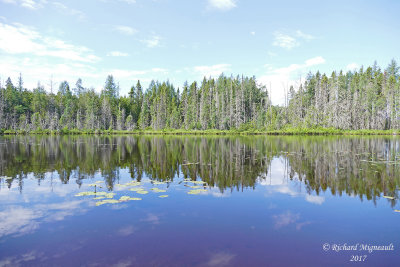 Petit lac Notre-Dame de Lourde m17 2