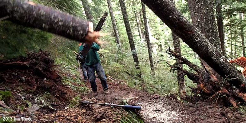 Goat Creek Trail Clearing - During