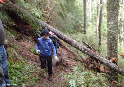 Goat Creek Trail Clearing - Before