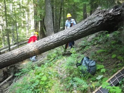 Jordan Creek Trail -  During