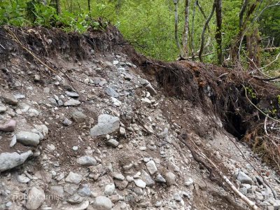 Reroute needed 1/2 mile+ upstream from Beaver Bill Creek