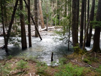 Upper Lake Creek Trail - 2018