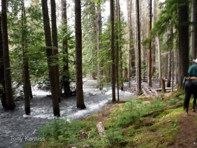 About 1/4 mile upstream from Beaver Bill Creek