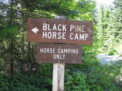1 - Black Pine Horse Camp.JPG