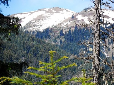 Black Pine Horse Camp