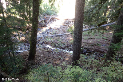 Clear Fork Trail Clearing Sep 2016