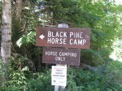 1 - Black Pine Horse Camp.jpg
