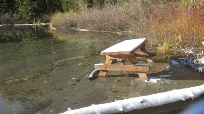 Fall 2018 Trail Photos