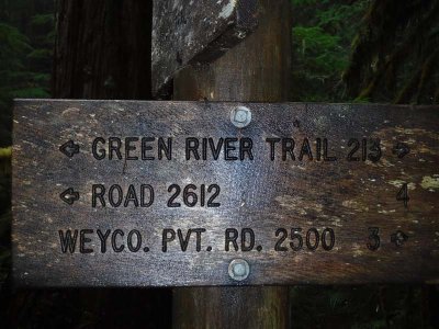 Green River Trail #213 DSCF1083.jpg