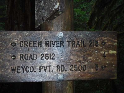 Green River Trail #213 DSCF1084.jpg