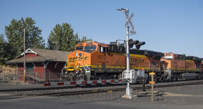 Washington state trains
