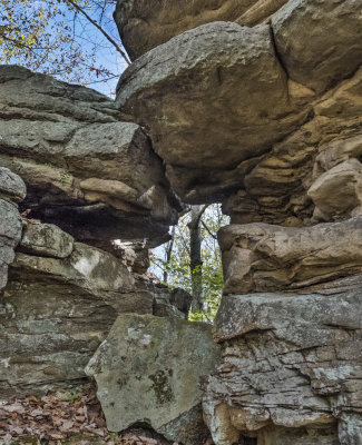 Martin County Arches