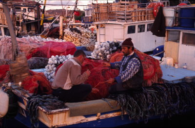 alarda02.JPG