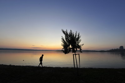 _AV05048.JPG