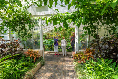Waterlily House