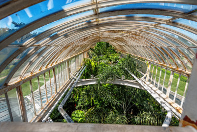 Palm House Interior