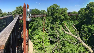 Rhizotron & Treetop Walkway