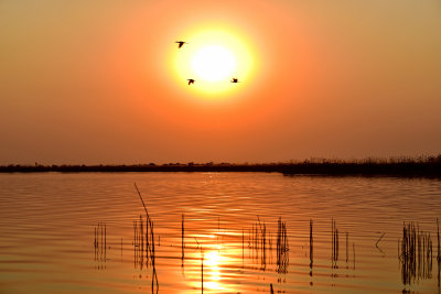 Sunset on Okavanga Delta