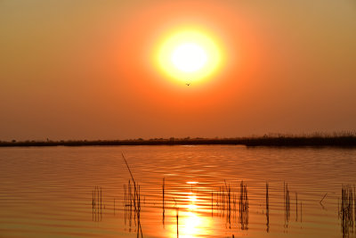 Sunset on Okavanga Delta