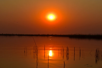 Sunset on Okavanga Delta