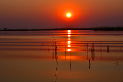 Sunset on Okavanga Delta