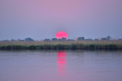 Sunset on Okavanga Delta