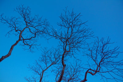 Ghoha Hills Dusk with Moon