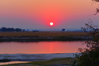 Chobe Sunrise