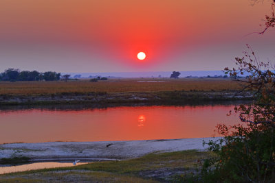 Chobe Sunrise & Great Egret