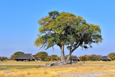 Camp Hwange