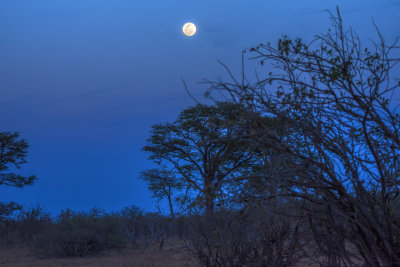 Full Moon Rising