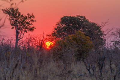 Zimbabwe Sunset