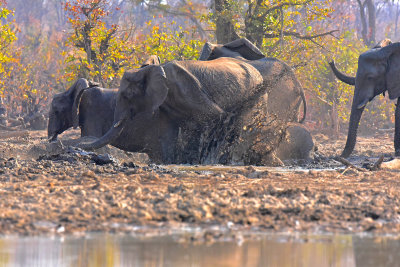 Fun in the Mud