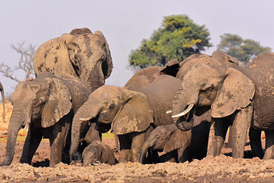 Packed Mud bath