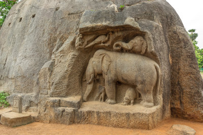 Elephant Rain Fountain (sans rain of course)